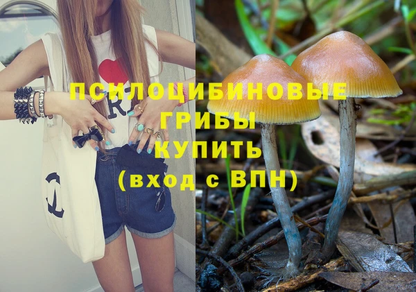 ешки Беломорск