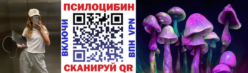 Галлюциногенные грибы Psilocybine cubensis Нарьян-Мар